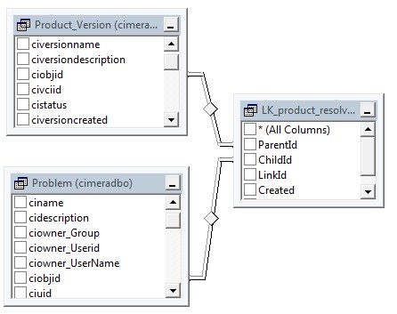 Reporting DB Schema - problem to product version