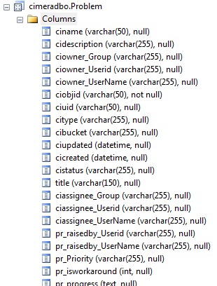 Reporting DB Schema - problem